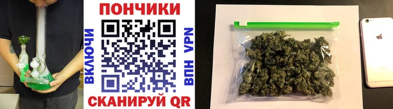 Конопля SATIVA & INDICA  Купить где  Мосальск 